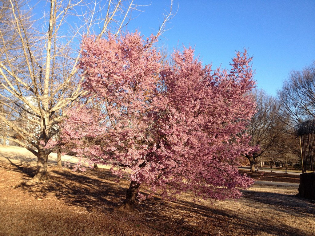 Spring Ahead